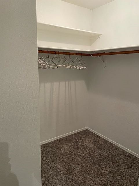 Furnished Finder property 438225_1 photo 16