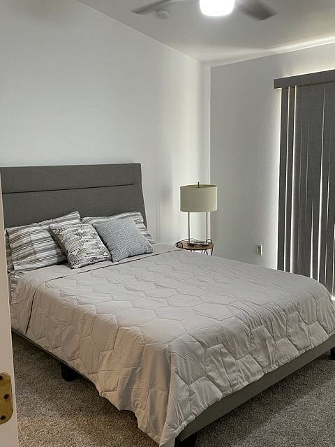 Furnished Finder property 438225_1 photo 13
