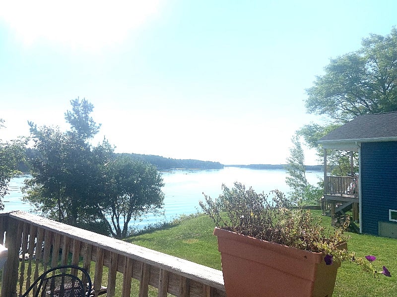 Furnished Finder property 438233_1 photo 18