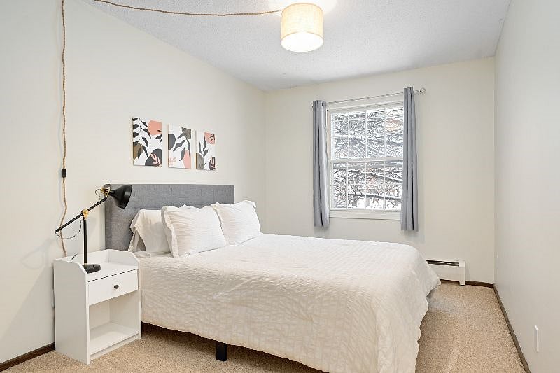 Furnished Finder property 438256_1 photo 8