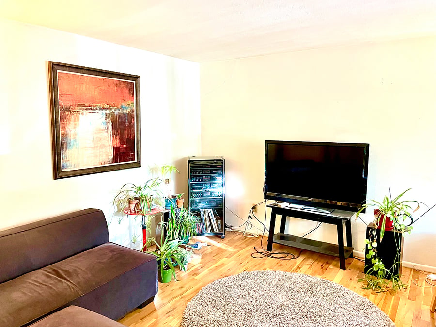 Cozy living room with east facing windows, which gives beautiful morning light.