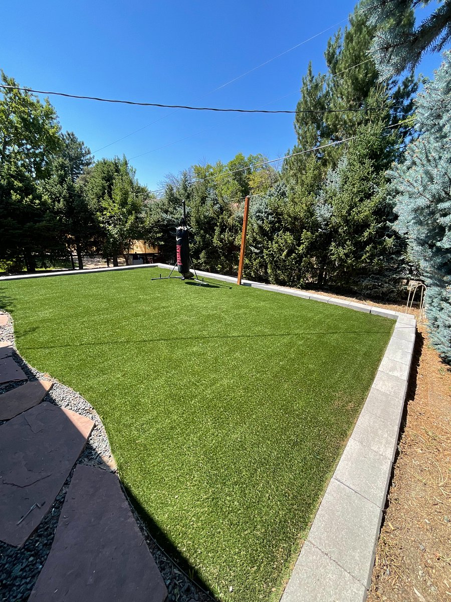 Shared Backyard Retreat: A peaceful, oasis-like space lined with massive mature spruce trees for excellent privacy. Enjoy a lush lawn with 600 sq. ft. of clean artificial grass, an elegant retaining wall, mature grapevines, an apple tree, and an expansive, fenced gardening space.