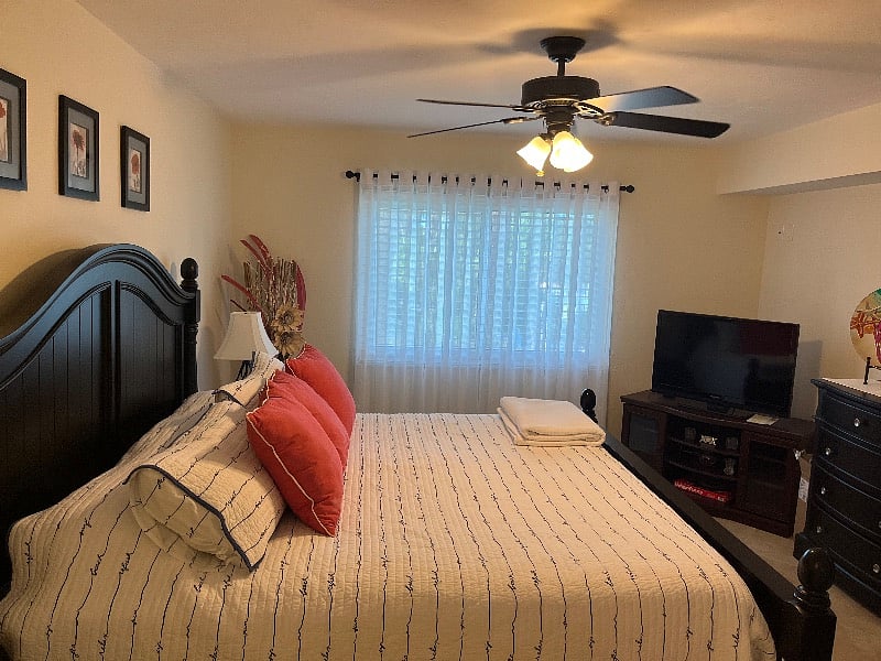 Furnished Finder property 438502_1 photo 11