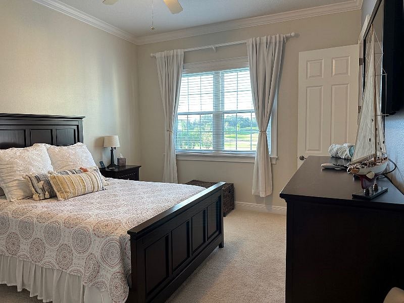 Furnished Finder property 438703_1 photo 6