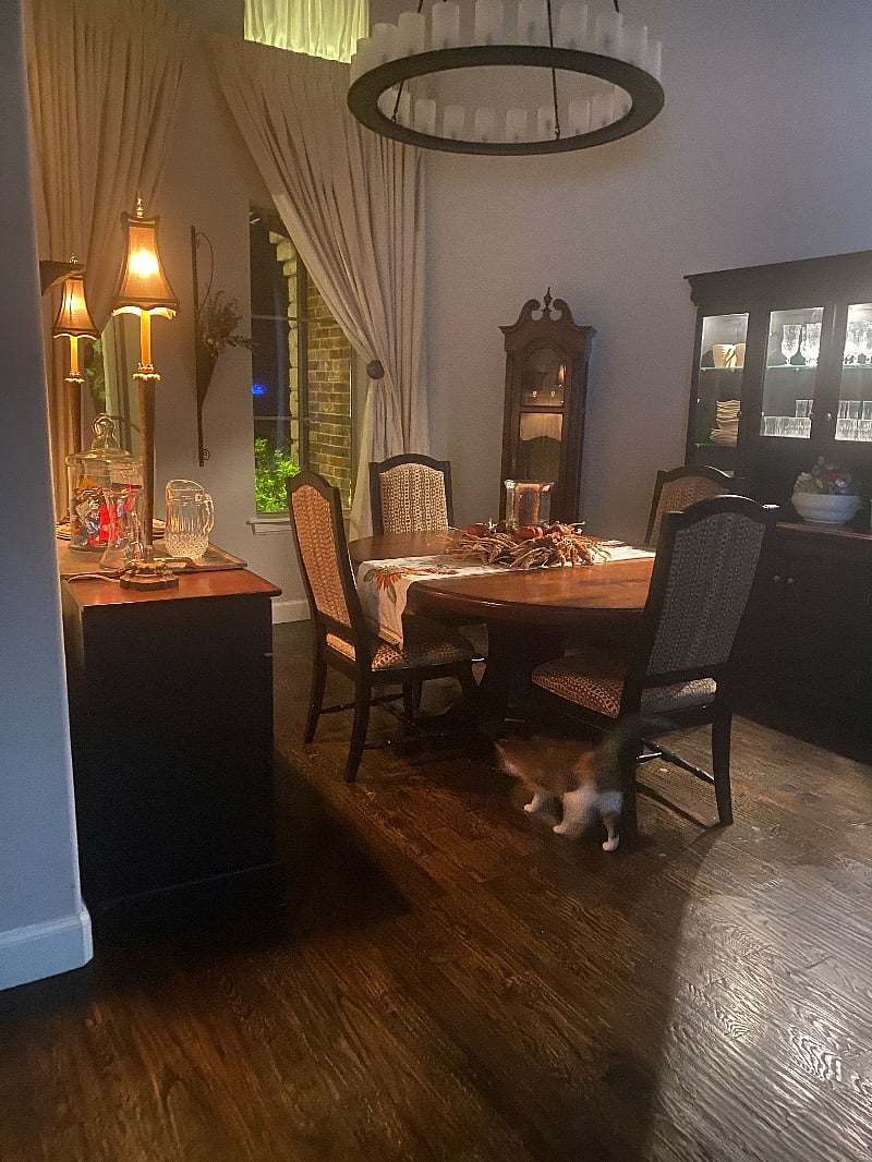 Dining room, and kitchen table with 4 chairs.
