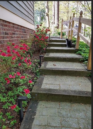 Lighted walkway w/handrail