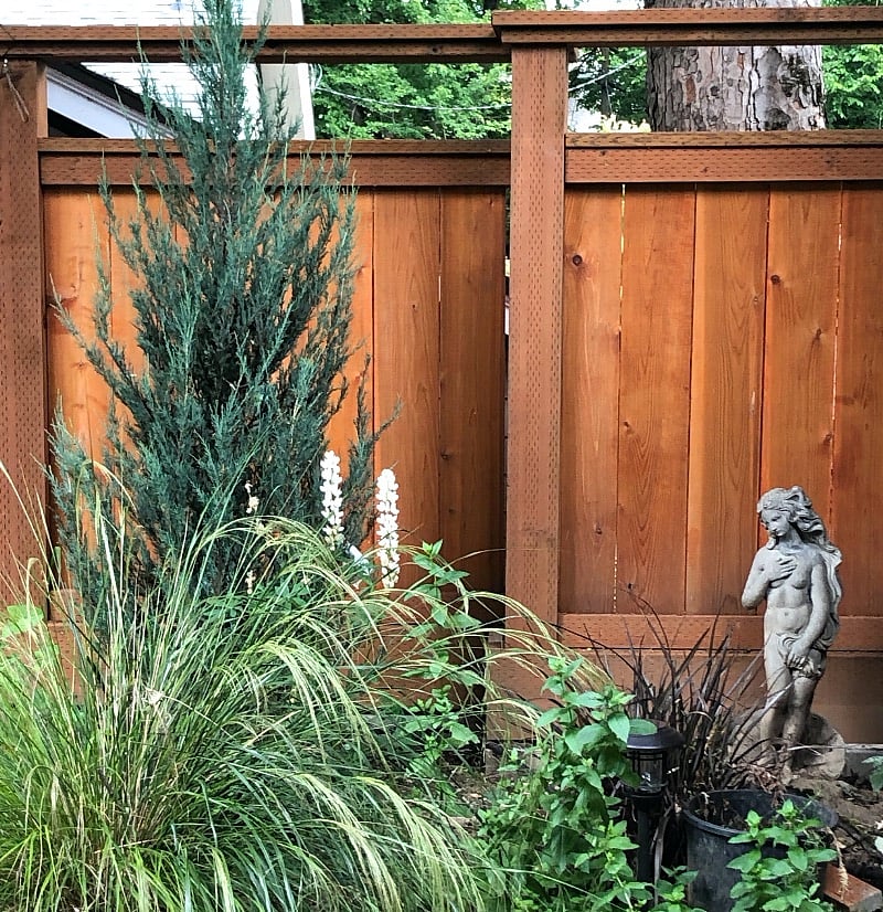 Private, lushly landscaped backyard.