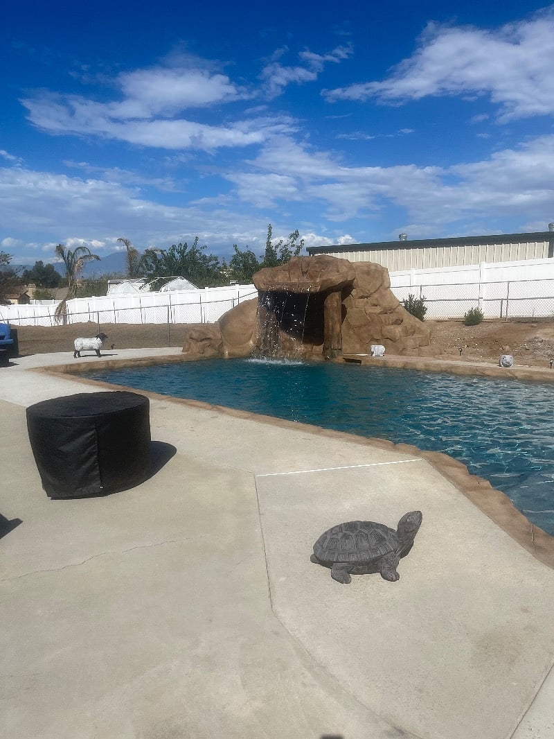 Furnished Finder property 439362_1 photo 28