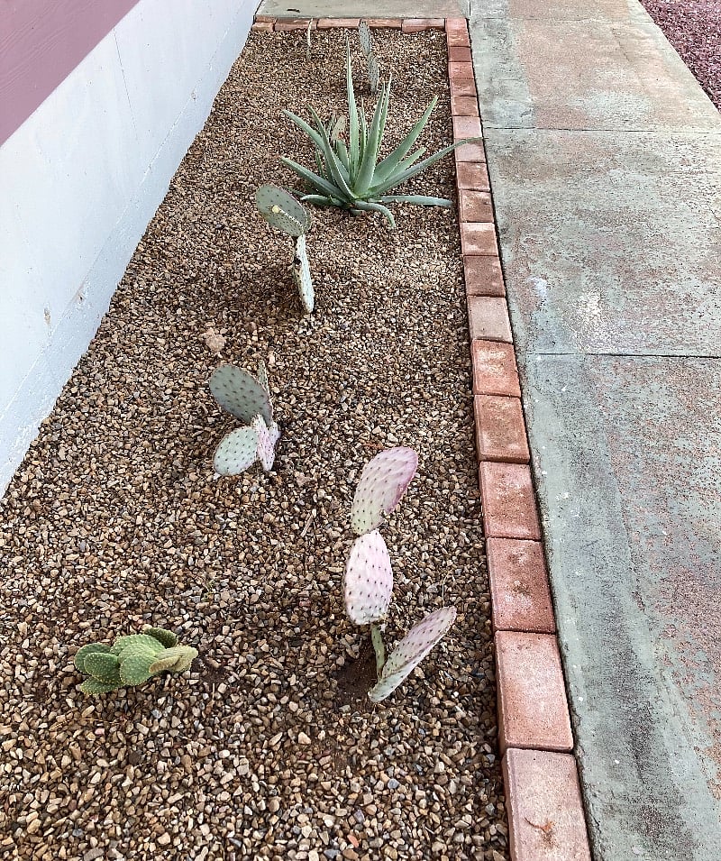 Xeroscaped in front yard and entrance