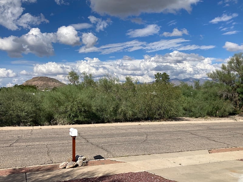 View from the front yard