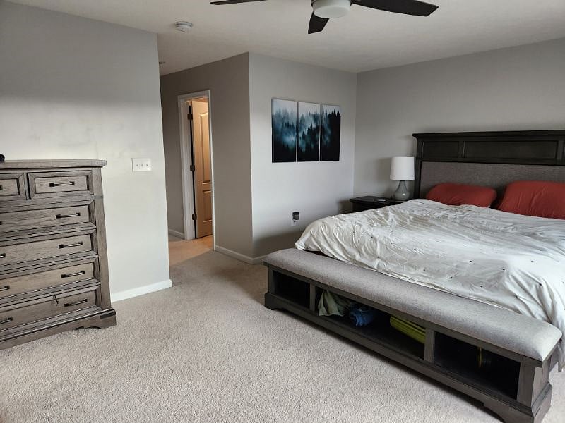 Furnished Finder property 439436_1 photo 6