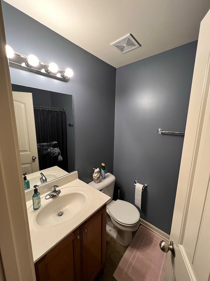 Furnished Finder property 439512_1 photo 12