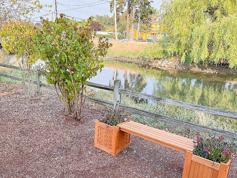 In the backyard the creek is calm