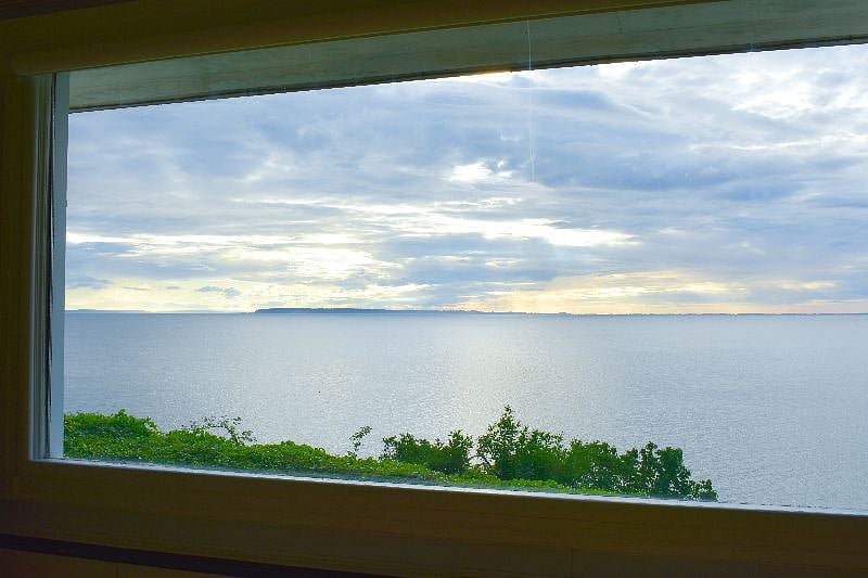 View out the main living area window