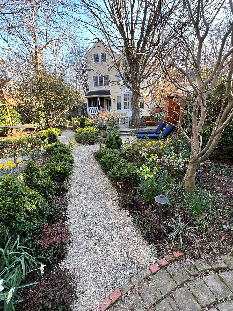 back garden access by request