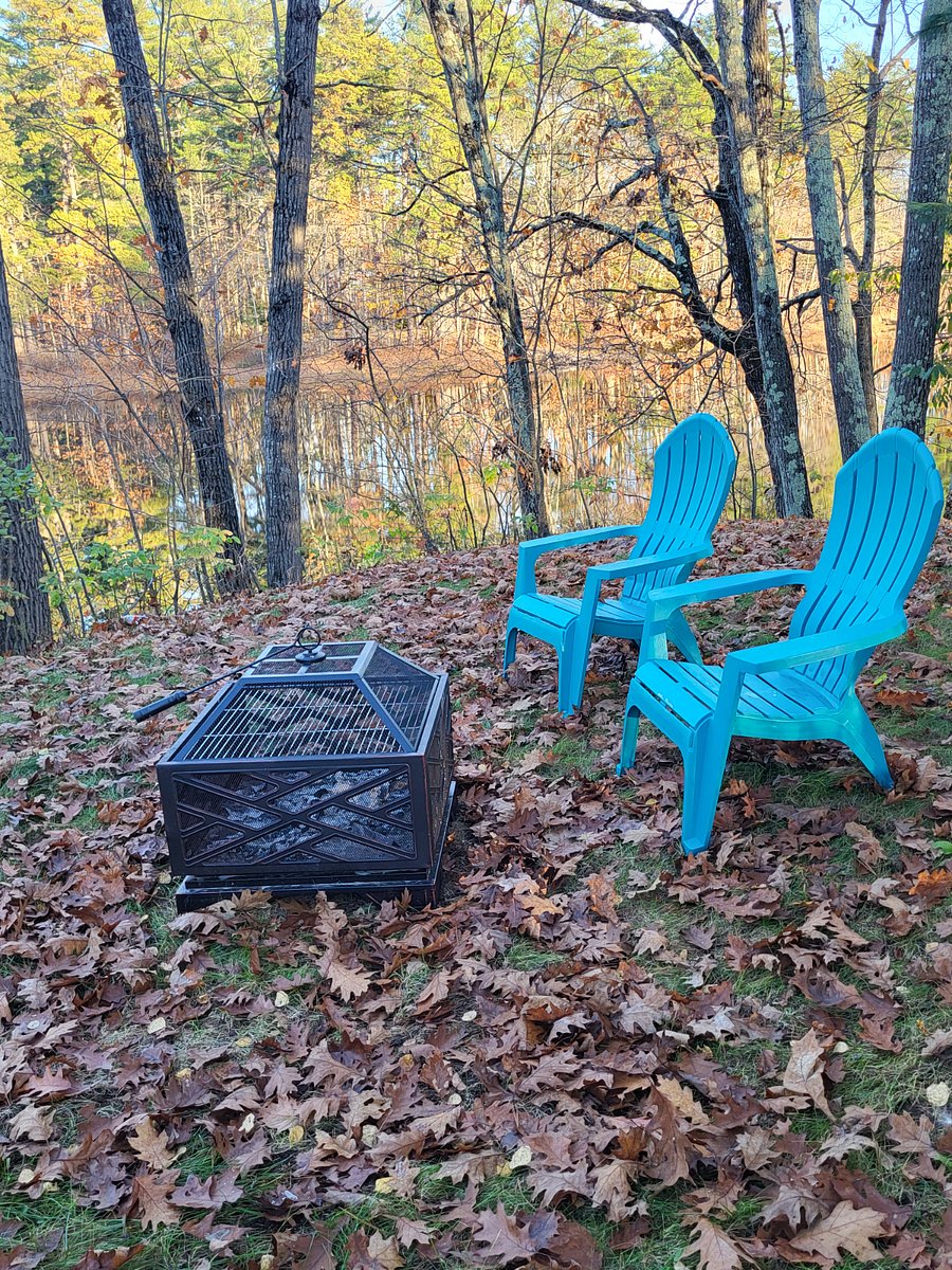 Furnished Finder property 439765_2 photo 10