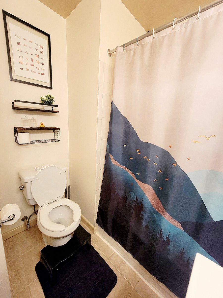 Furnished Finder property 439814_2 photo 6