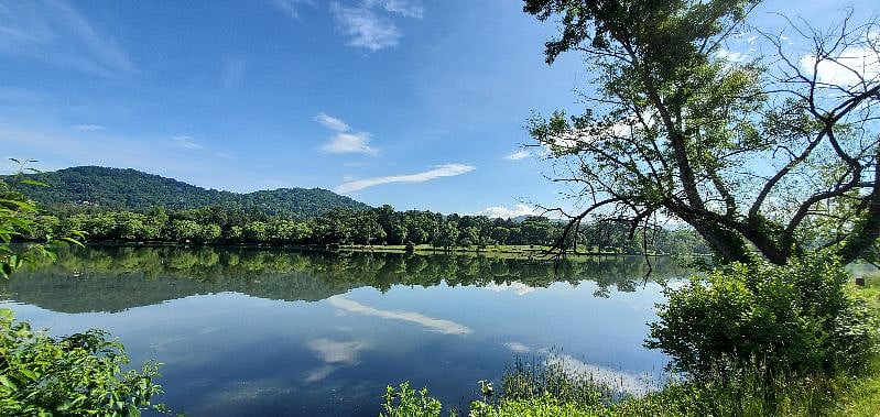 Less than a half of a mile to the best park in Asheville! Beaver Lake