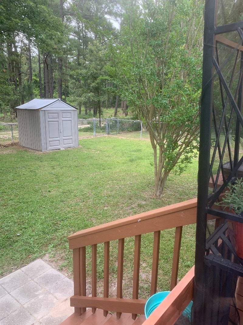 Furnished Finder property 439915_1 photo 47