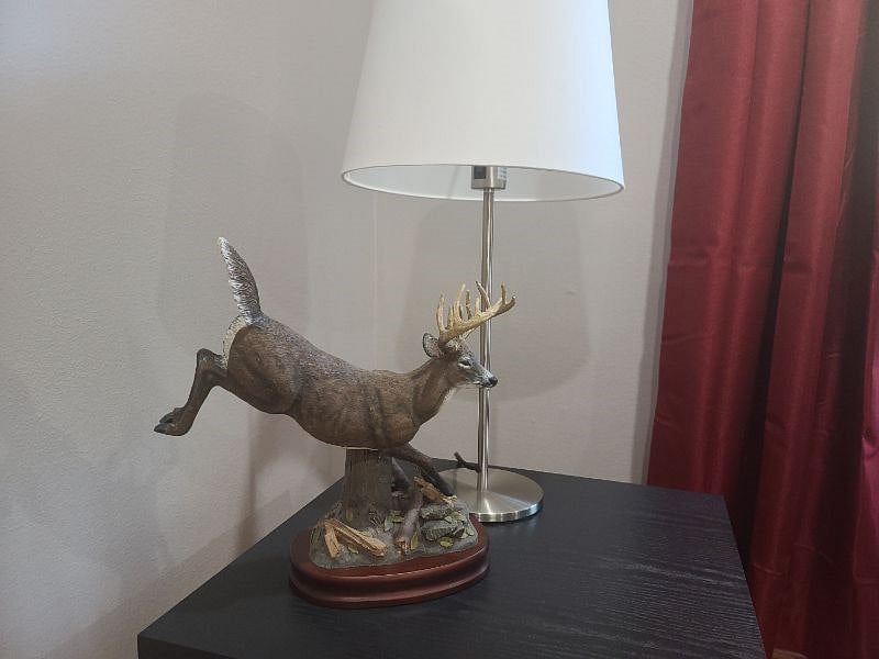 Furnished Finder property 440103_1 photo 19