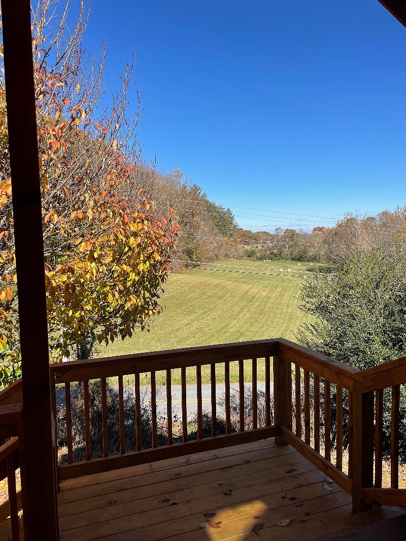 Furnished Finder property 440259_1 photo 12