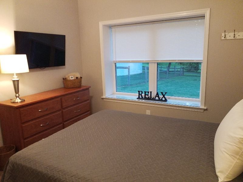 Oversize window with view of yard, trees, and no neighbors