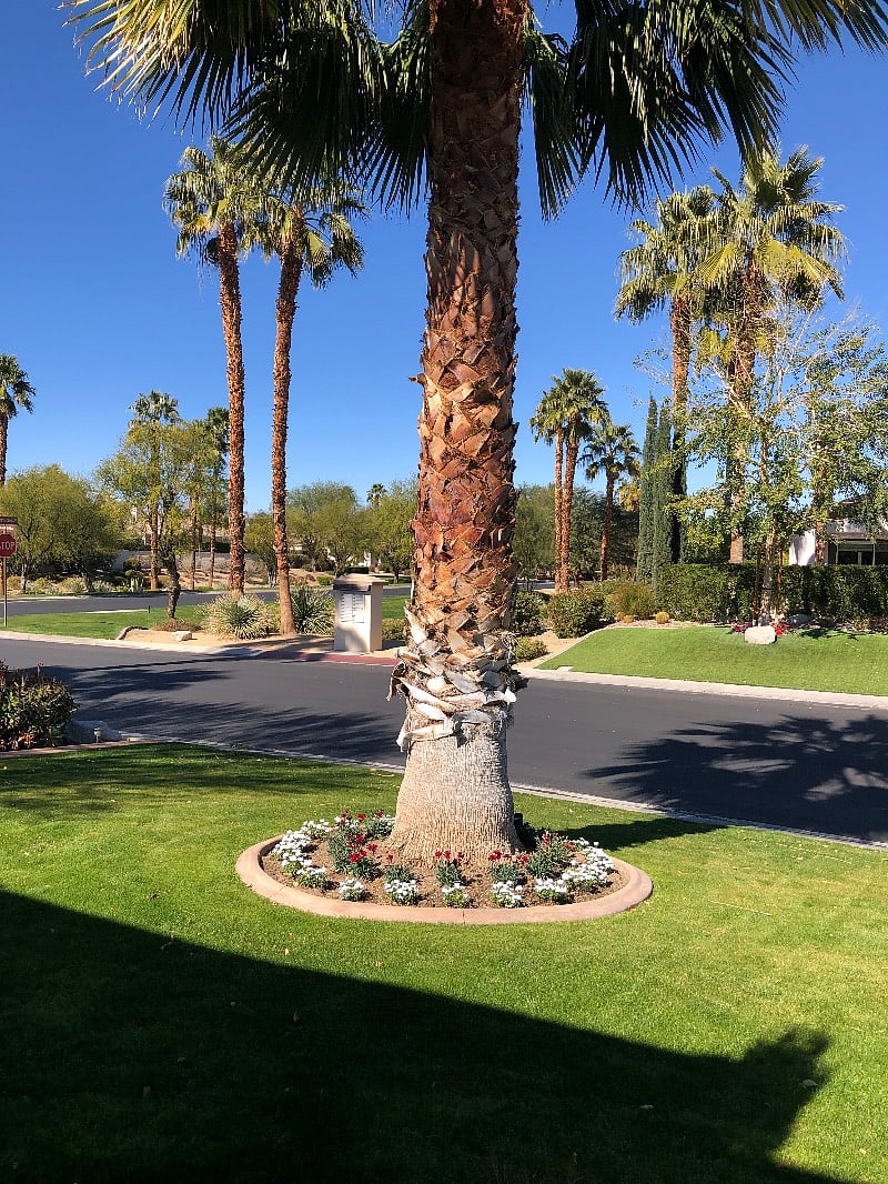 Furnished Finder property 440411_1 photo 3