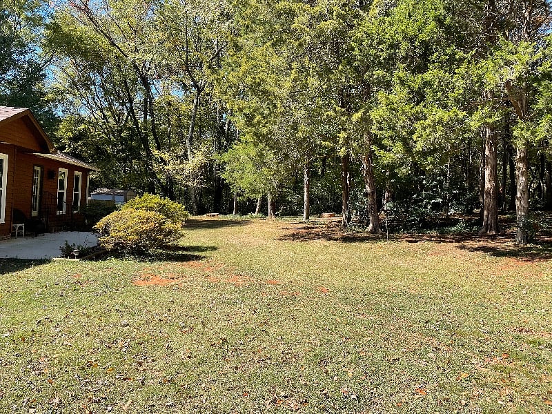Front yard