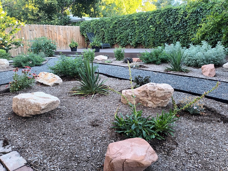 Shared backyard