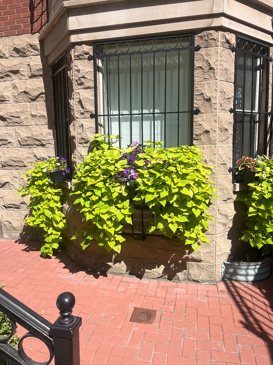 Furnished Finder property 441156_1 photo 14