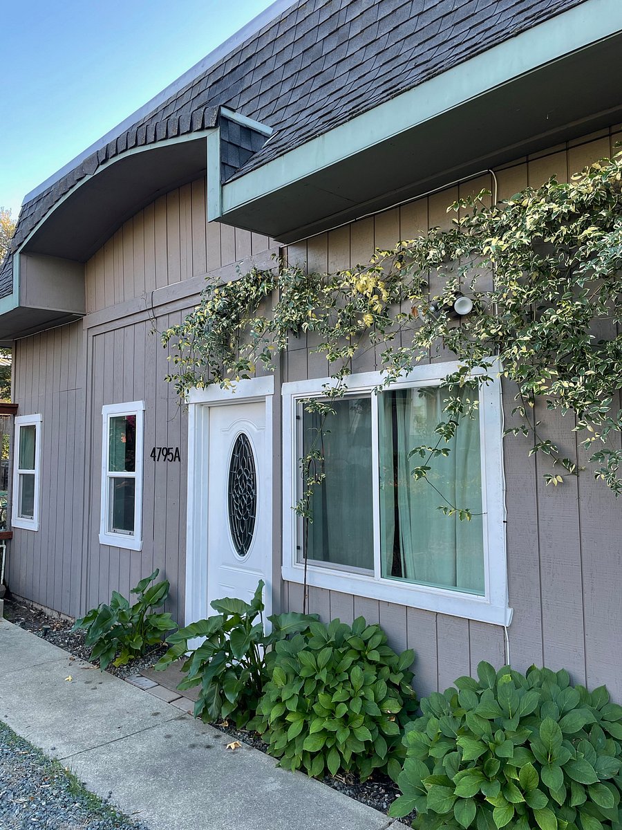 Furnished Finder property 441162_1 photo 25