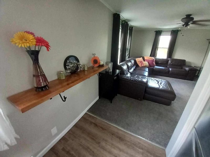 Furnished Finder property 441165_1 photo 4