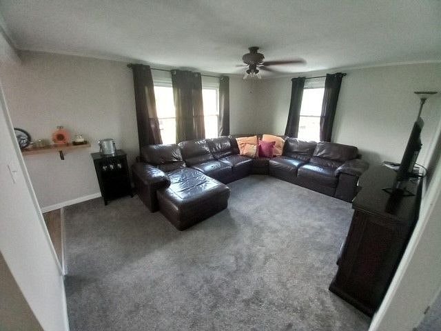 Furnished Finder property 441165_1 photo 8