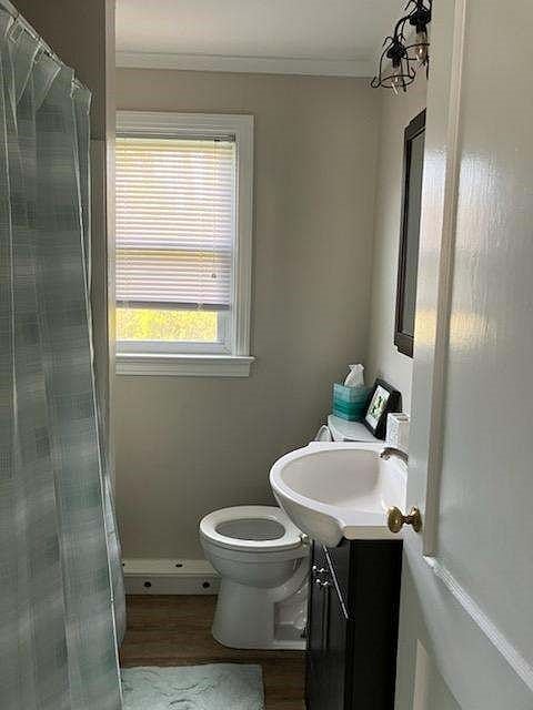 Furnished Finder property 441165_1 photo 9