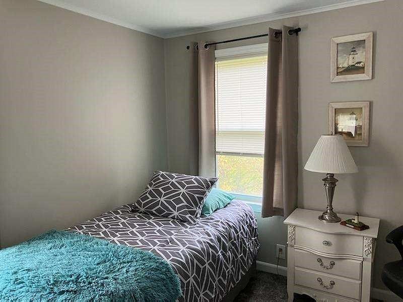 Furnished Finder property 441165_1 photo 12
