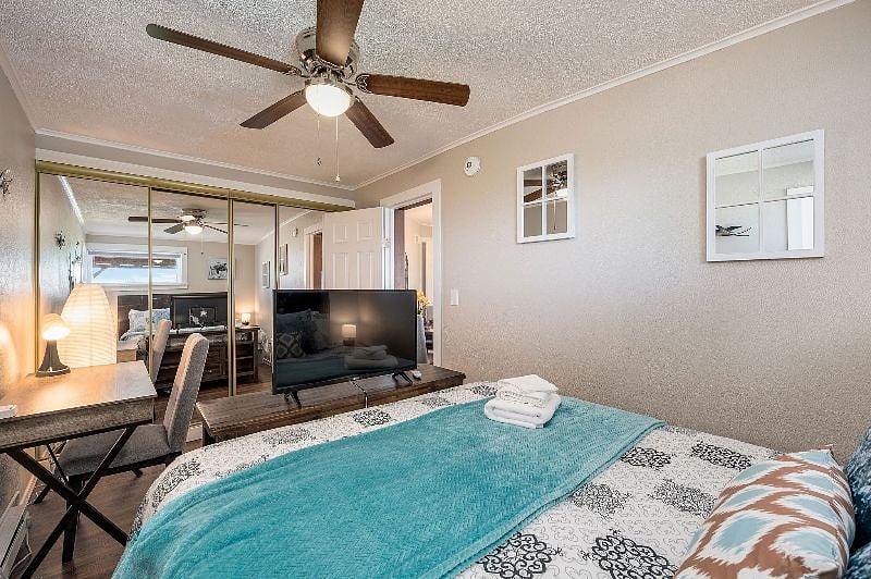 Furnished Finder property 441464_1 photo 12