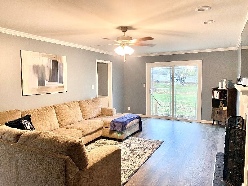Furnished Finder property 441618_1 photo 30