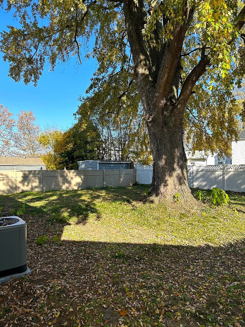 Furnished Finder property 441690_1 photo 10