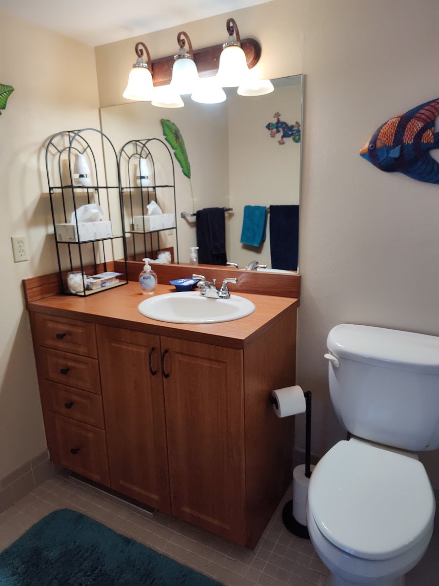 Furnished Finder property 441803_1 photo 23
