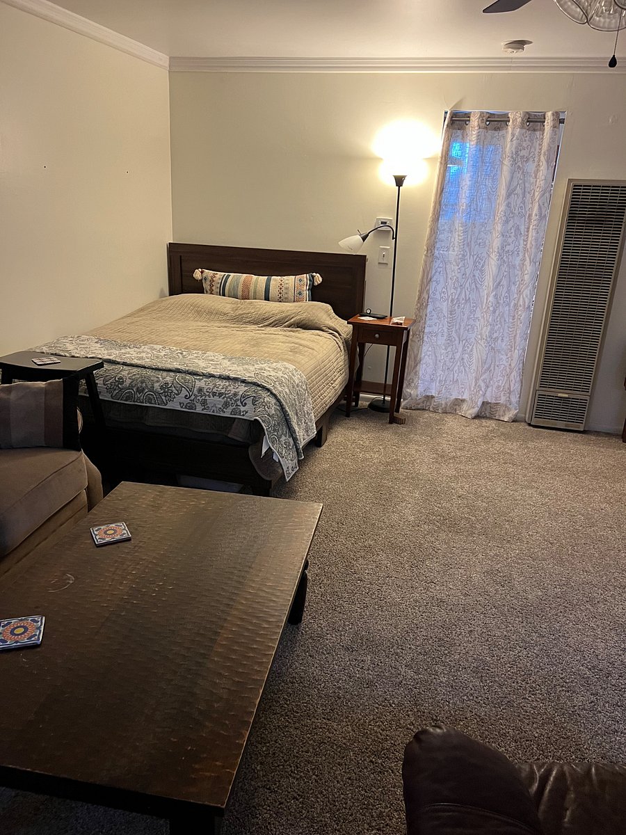 Living/bedroom