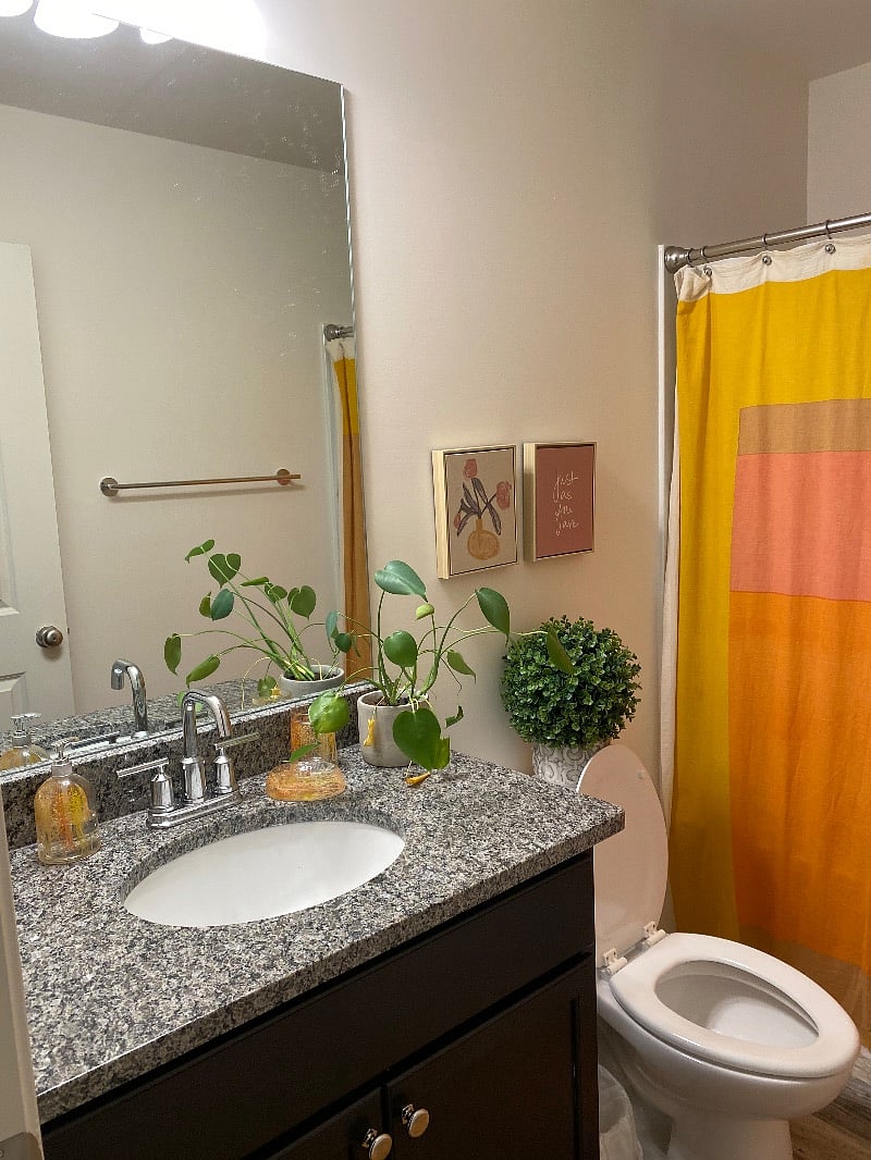 Furnished Finder property 441897_1 photo 12
