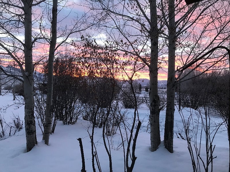 View from front porch