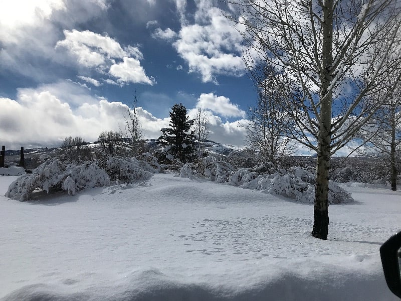 front porch view