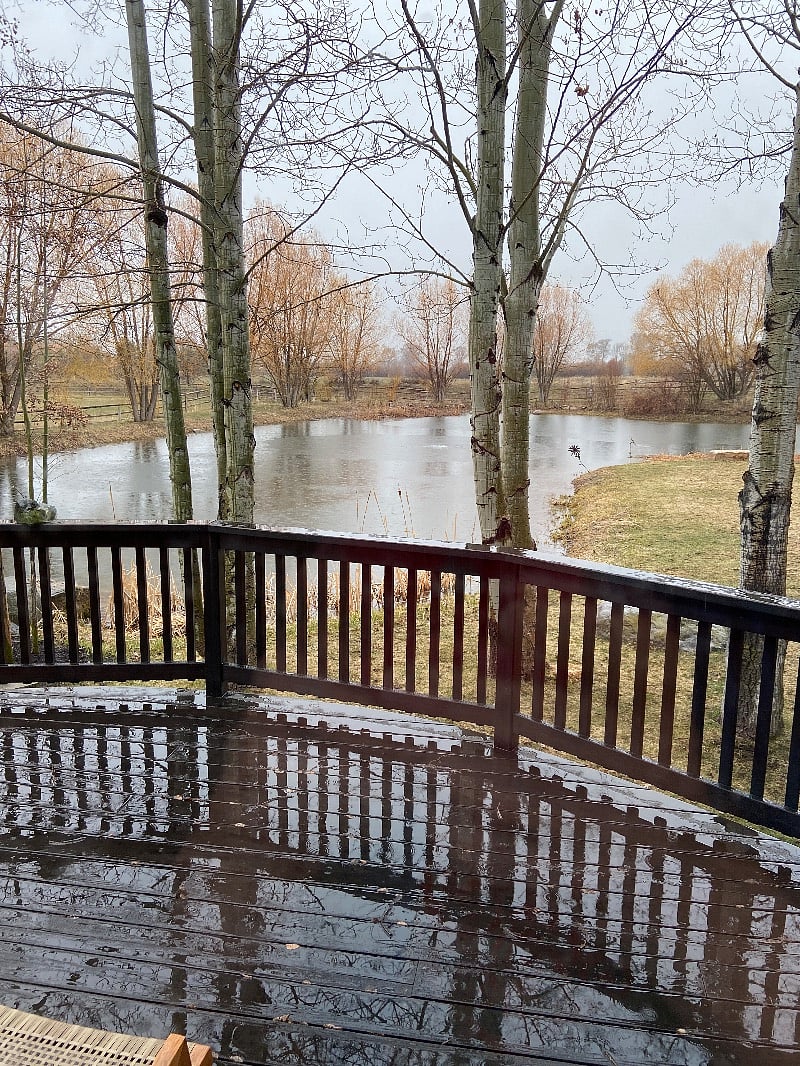 pond outside back porch