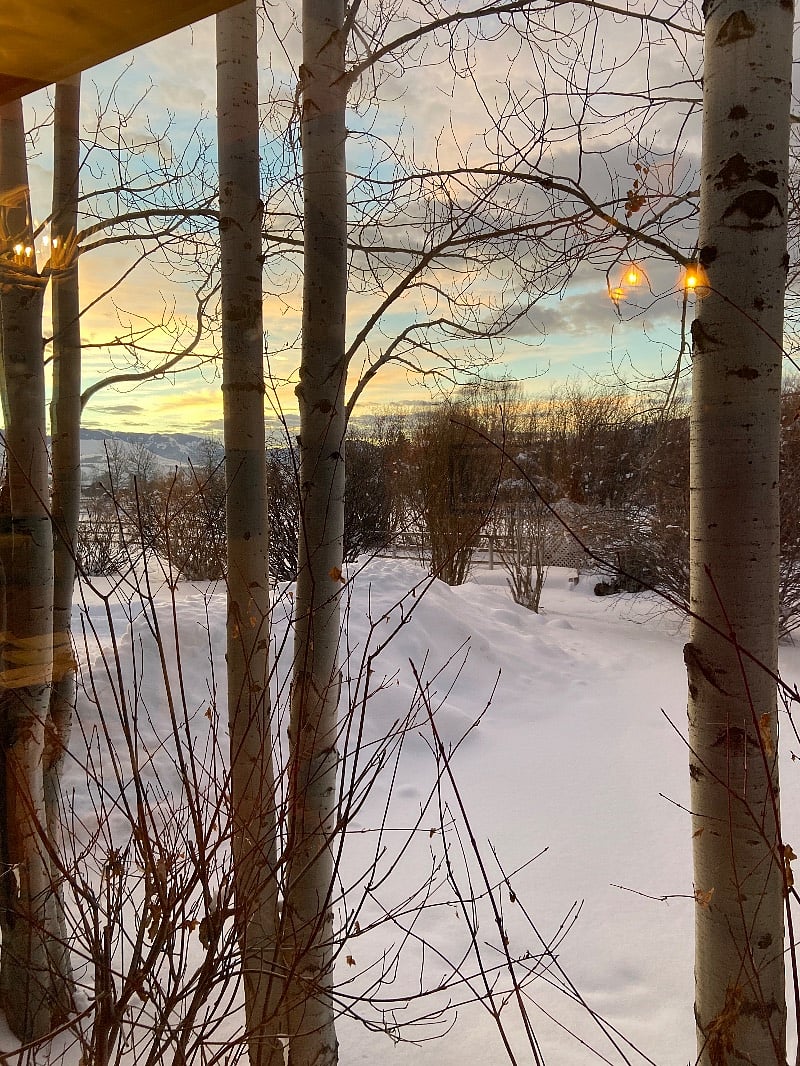 side window views