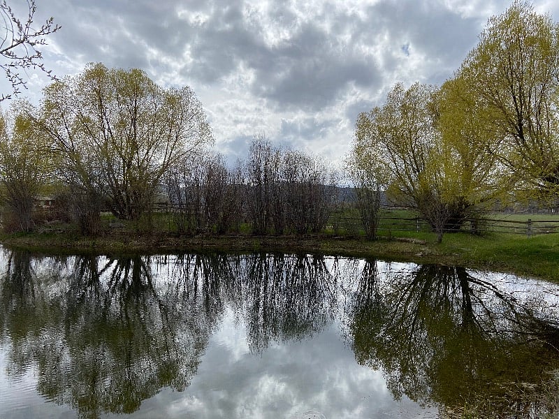 pond