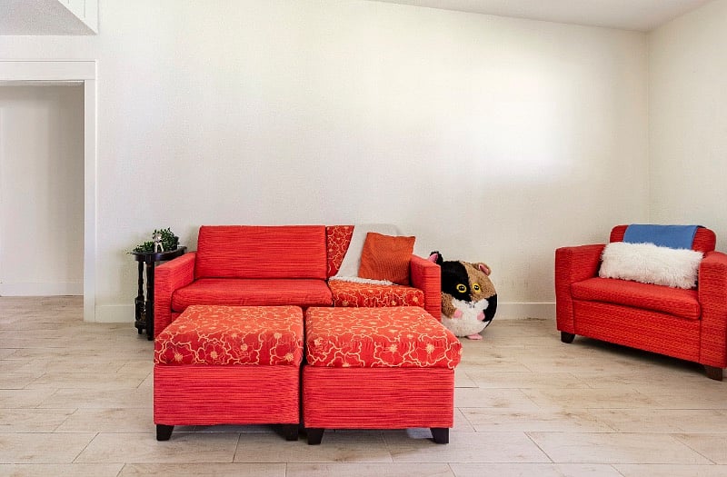 Furnished Finder property 442115_1 photo 18