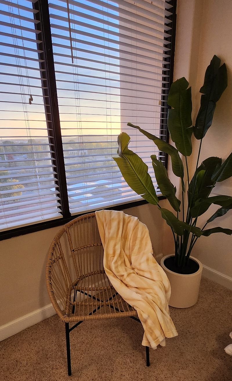Furnished Finder property 442264_1 photo 14