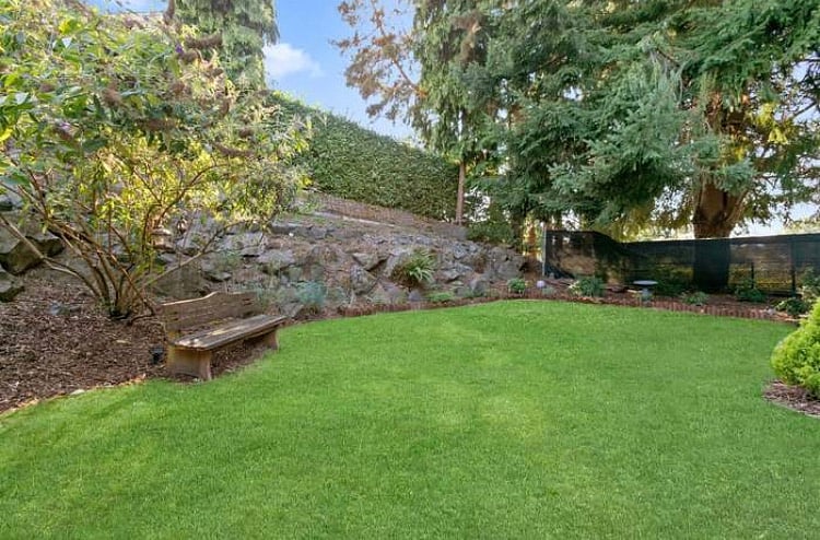 Back yard grassy area
