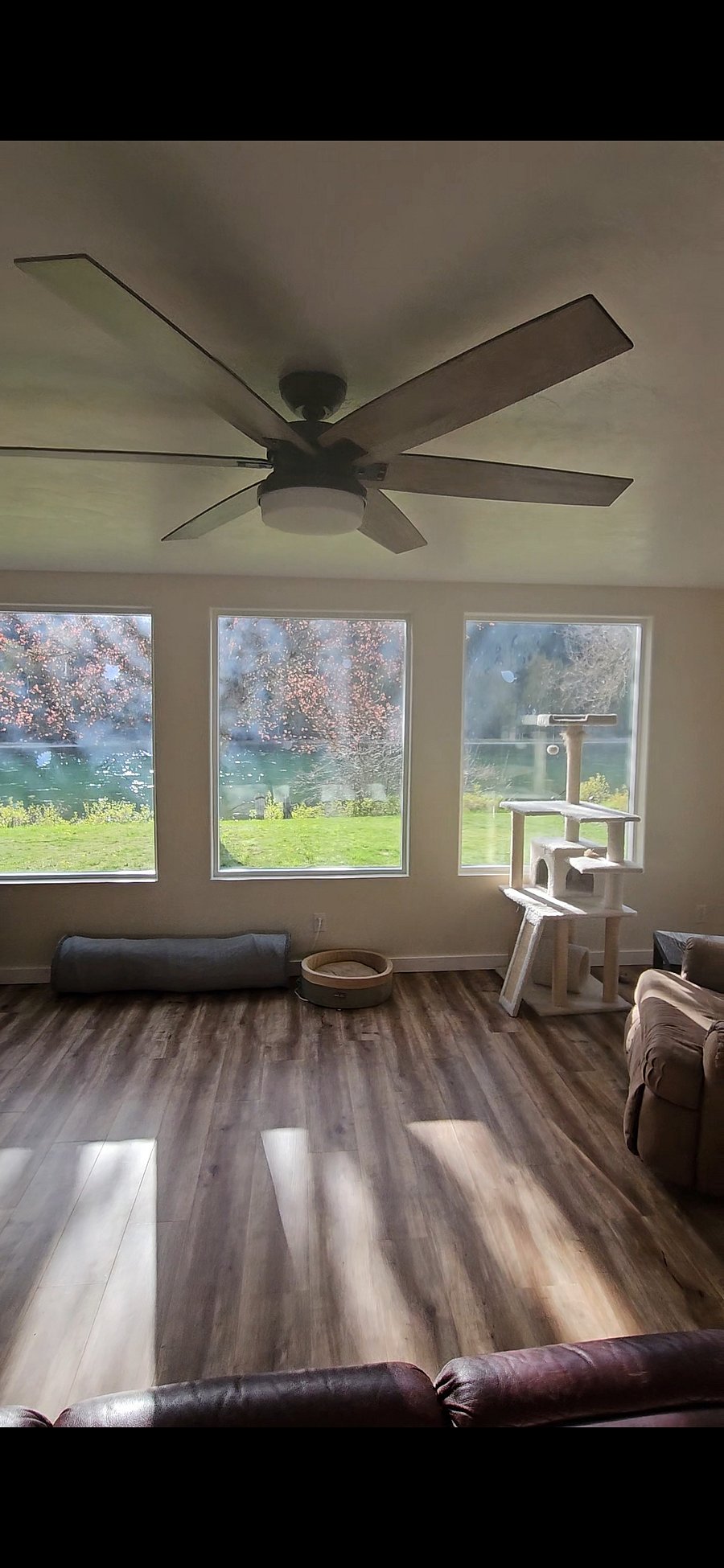 Furnished Finder property 442304_1 photo 23